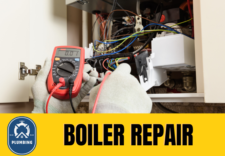 boiler repair Darenth