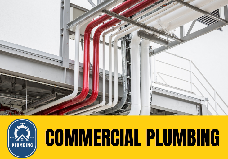 commercial plumbing Darenth