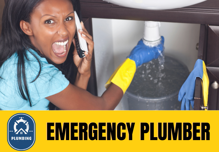 emergency plumber Darenth