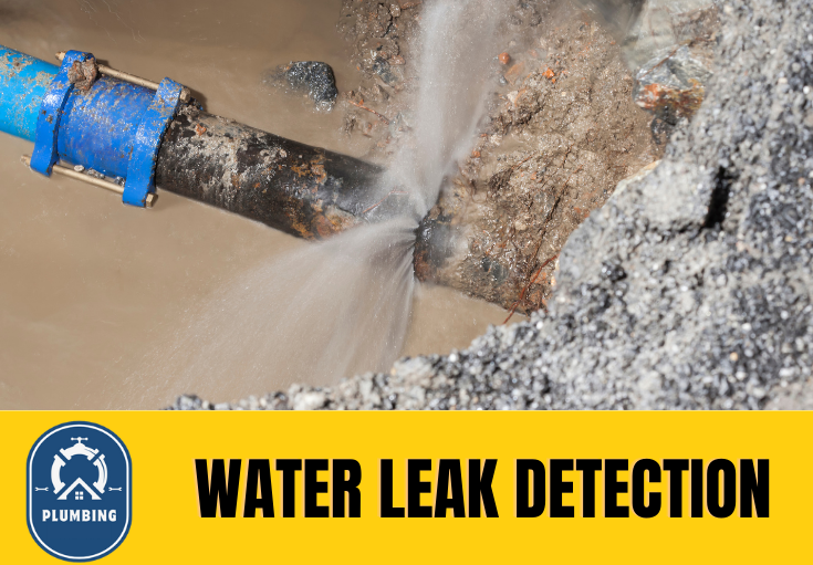 leak detection Darenth