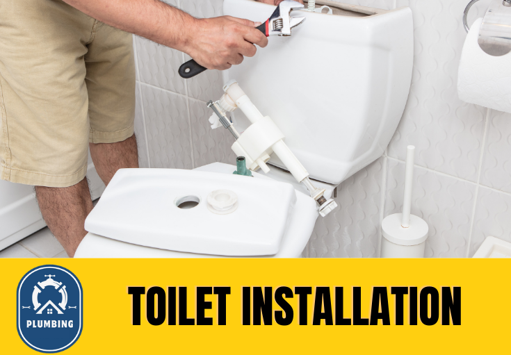 toilet fitters Darenth